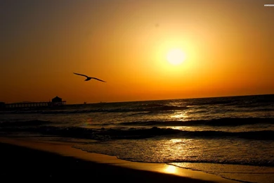 Seaside Sunset, Beach, Sky, Wave, Beaches, 2560x1600 HD Wallpapers ...