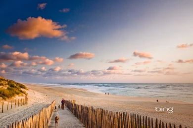 Free HD Wallpaper: Bing