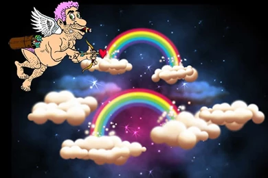 Funny Valentine's Day Desktop Wallpapers   Funnygala