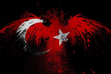 Eagles flags turkey wallpaper backgrounds.jpg