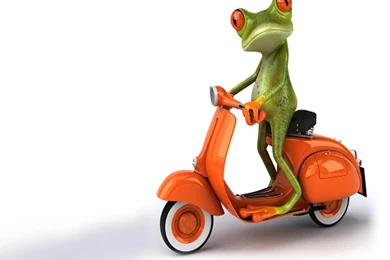 Colorful Frog Wallpapers And Backgrounds Free Download   Planet ...