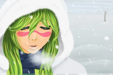 PC Wallpapers Bleach Minitokyo Nel Wallpapers