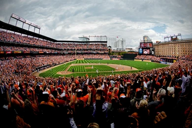 The Whole Ten Yards Wallpapers