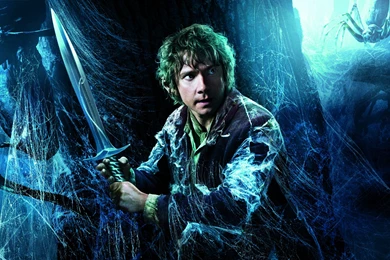 The Hobbit: The Desolation Of Smaug, Bilbo Wallpaper,fantasy HD ...