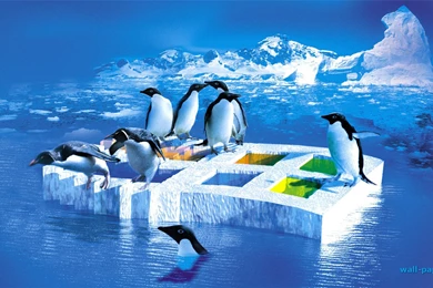 Family Penguins Ice Xmas New Year Attractions Dreams Blue Birds ...