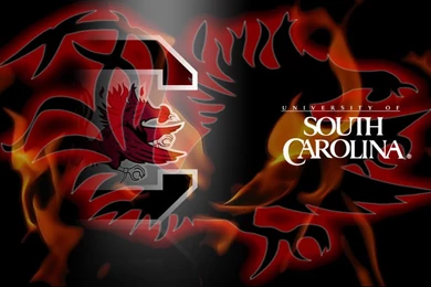 Gamecock Funny Quotes. QuotesGram