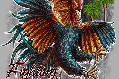 USC Fighting Gamecocks By Garryrone On DeviantArt