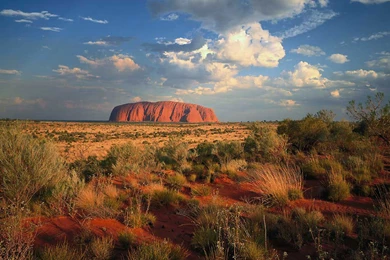 USA Portal   Pictures Page