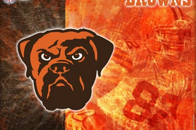 Cleveland Browns Joshua Cribbs 1 O5w9hcydd1 1024x768 Photo