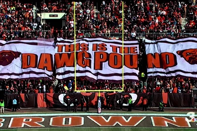 65 Cleveland Browns HD Wallpapers