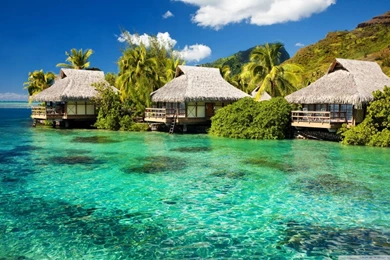 Tropical Lagoon Wallpapers