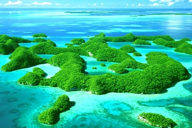 Tropical Lagoon Wallpapers