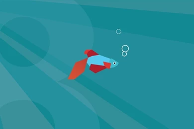 Windows 8 Metro Fish Theme Wallpapers Wallpapers X