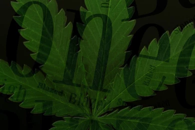 420 Truth Wallpapers For Mobile   Wallpapers For Mobile Phones