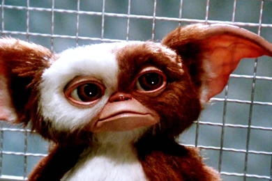 GREMLINS Comedy Horror Creature Monster Alien (11) Wallpapers ...
