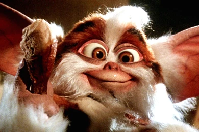 GREMLINS Comedy Horror Creature Monster Alien (24) Wallpapers ...