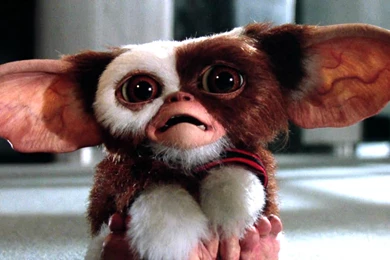 GREMLINS Comedy Horror Creature Monster Alien (11) Wallpapers ...