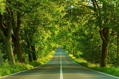 Wallpapers Beautiful Scenery 43523 HD Wallpapers