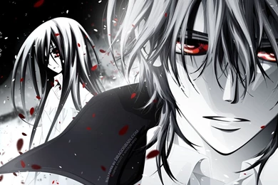 Zero Vampire Knight Wallpapers