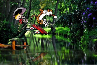 Made Some Calvin & Hobbes Walls   Album On Imgur