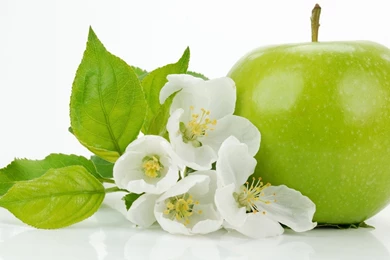 Green Apple Wallpaper Backgrounds