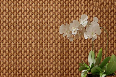 Popular Covering Textured Wallpaper Buy Cheap Covering Textured ...