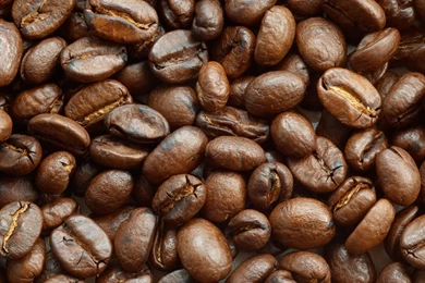 Coffee Beans Wallpapers   Brown Wallpapers (28239137)   Fanpop