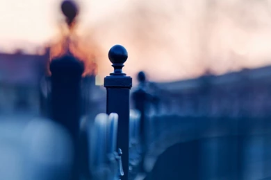 Close Up Wallpapers HD