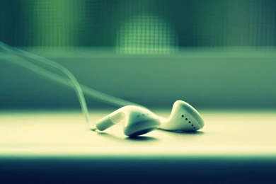 Free Close Up Wallpapers   HD Wallpapers