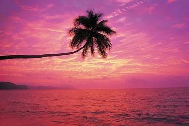 Wallpapers Kerala Nature Beauty