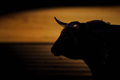 Red Bull Logo Transparent Backgrounds   Wallpaper.