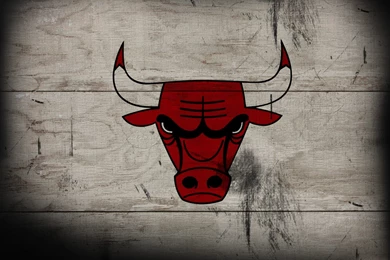 Bull Animal Hd Wallpapers Free Download 1080p