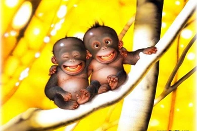 Download Cute Monkey Wallpapers