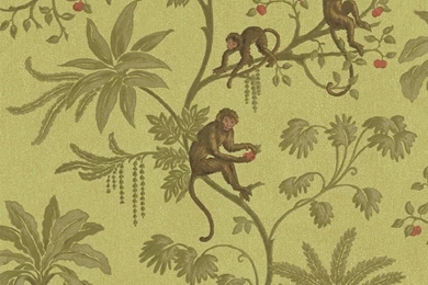 Jungle Of Monkeys Wallpapers   Discount Wallcovering