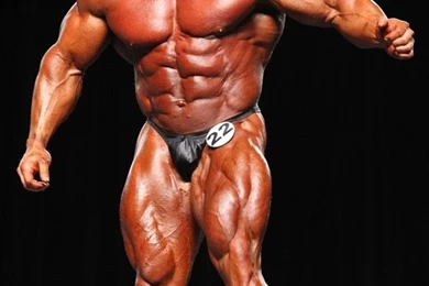 Body Builders Wallpapers   Wallpapers Zone