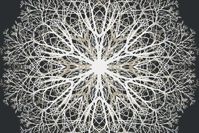 Paper Wallpapers / Design / Patterned / 3D Effect   EXCLUSIVE   Eco