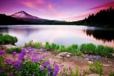 Beautiful Wallpapers Hd Collection (43+)