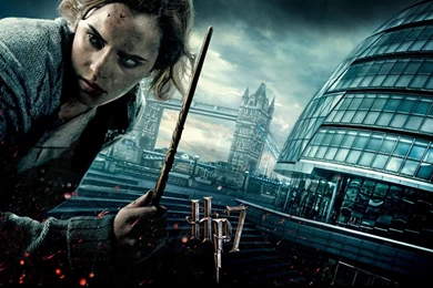 Deathly Hallows Hermione 493311 Wallpapers   (