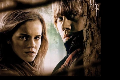 Ron And Hermione Wallpapers   Romione Wallpapers (24818506)   Fanpop