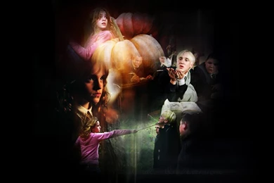 Draco Hermione 1   Hermione Granger's Men Wallpapers (693131)   Fanpop