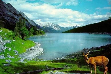 Nature Wallpapers Desktop 3d