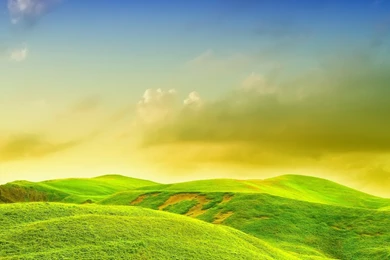 Green Yellow Nature Wallpapers