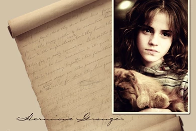 Hermione   Harry Potter Wallpapers (213607)   Fanpop