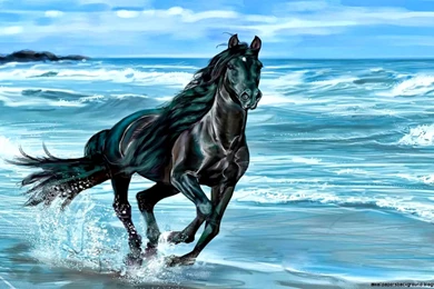 Running Horse Wallpapers Desktop Backgrounds