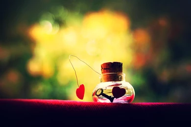 Cute Desktop Wallpapers