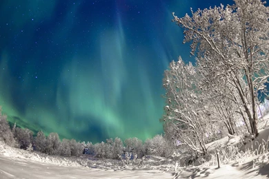 Nook HD Wallpapers   Wallpapers Zone