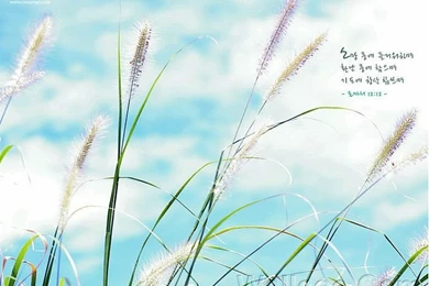 Scenery Wallpapers With Christian Proverbs 7 Wallcoo.net