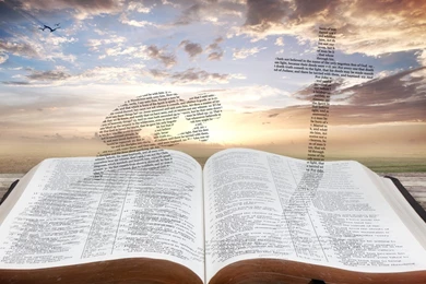 Religious: Word Alive Religious Cross Christian Bible Desktop ...