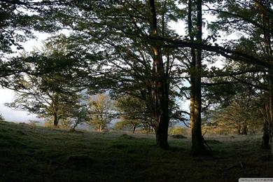 Download Dual Monitors Wallpapers 2560x1024