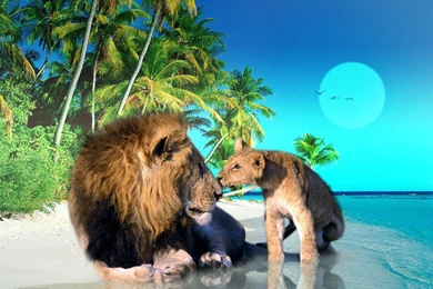 Koaslakkja: 3d Wallpapers 3d Nature